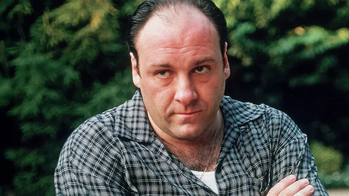 10 Great Novels To Read If You Love The Sopranos 20251029 101618