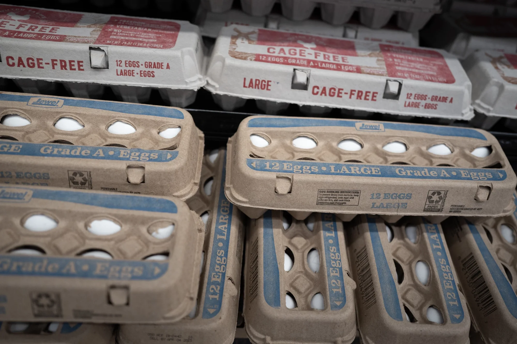 Check your fridge Millions of eggs recalled nation 20251023 131652