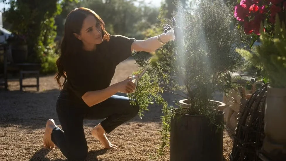 Meghan Markle Goes Barefoot for Wellnessand Shes N 20251026 123729