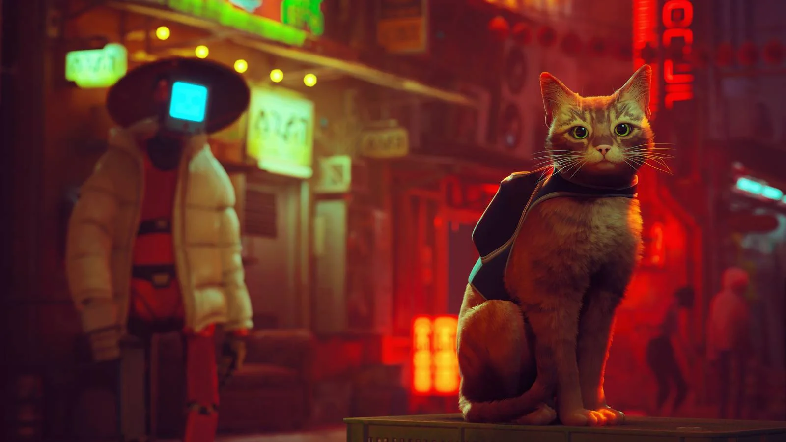 Stray Leads Playstation Plus November Lineup 20251030 122834