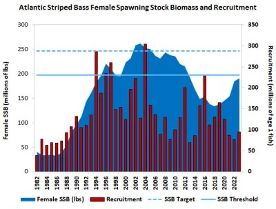 Stripe Statistics 2025 Key Insights Behind Its Tri 20251024 122143
