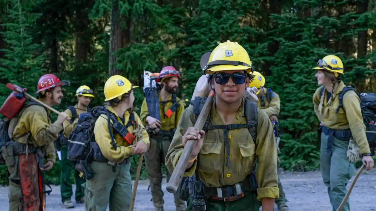 USDA Forest Service in 2025: Funding, Grants, Permits & Business Opportunities