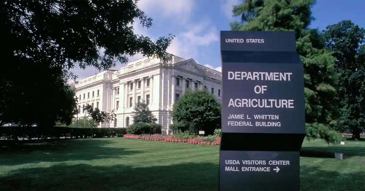 USDA Grants $38.3 Million to South Carolina Farmers for Hurricane Helene Losses (2025)