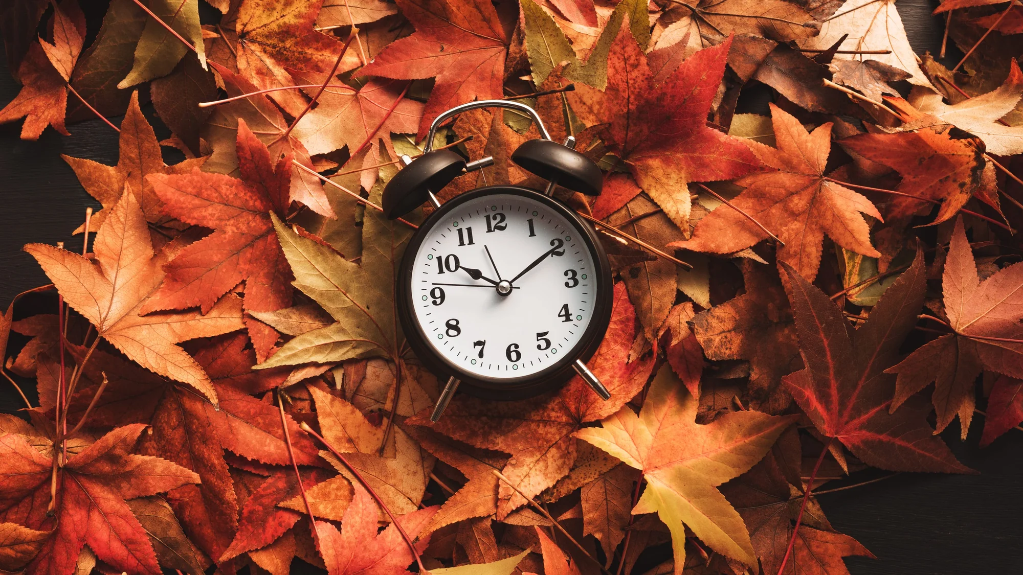 What Time Does Daylight Saving Time 2025 End Heres 20251031 131012