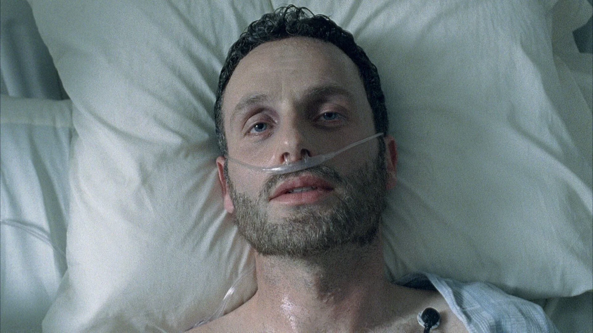 15 years later The Walking Deads very first episod 20251102 090939