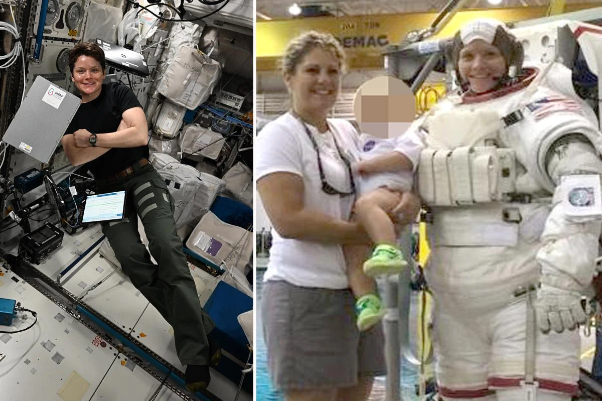 Ex Wife Of Top Nasa Astronaut Pleads Guilty To Fal 20251119 131317