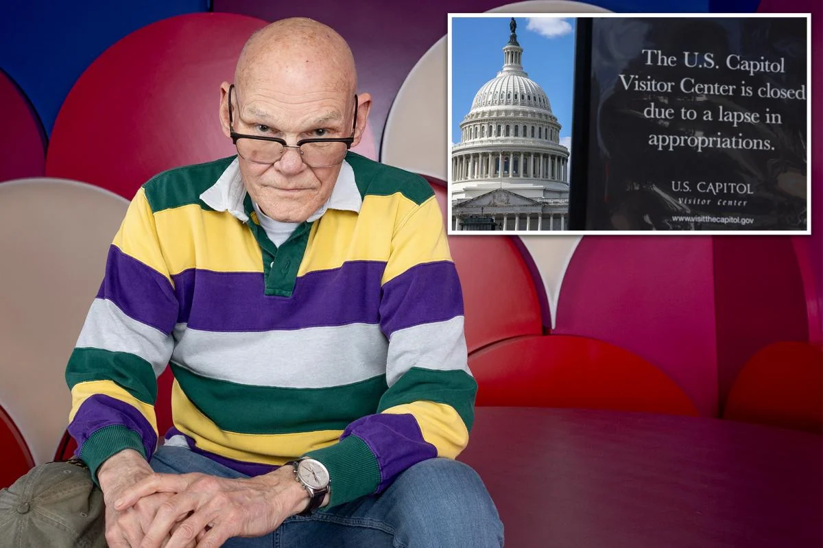 James Carville argues that Dems didnt have a real 20251115 183922