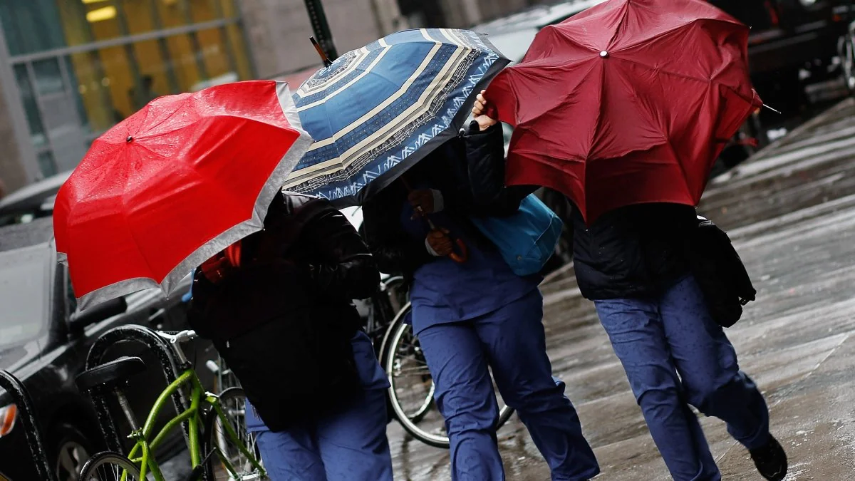 See Los Angeles County Rainfall Totals So Far 20251117 104002