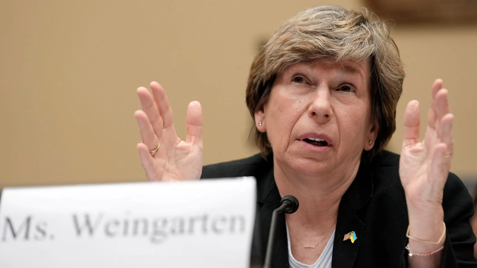 Shielding The Democrats Randi Weingartens Why Fasc 20251114 002509