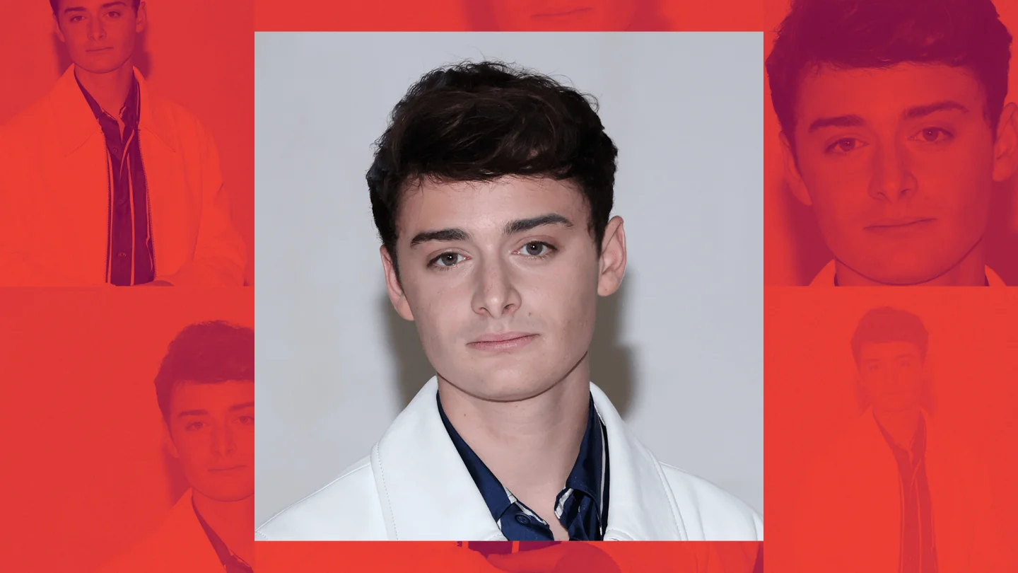 Stranger Things Star Noah Schnapp Is Feeling Terri 20251126 075504