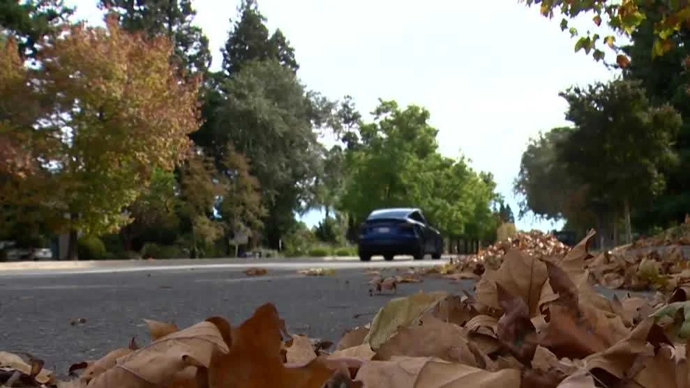 The Claw is back in Sacramento as leaf season stor 20251105 163545
