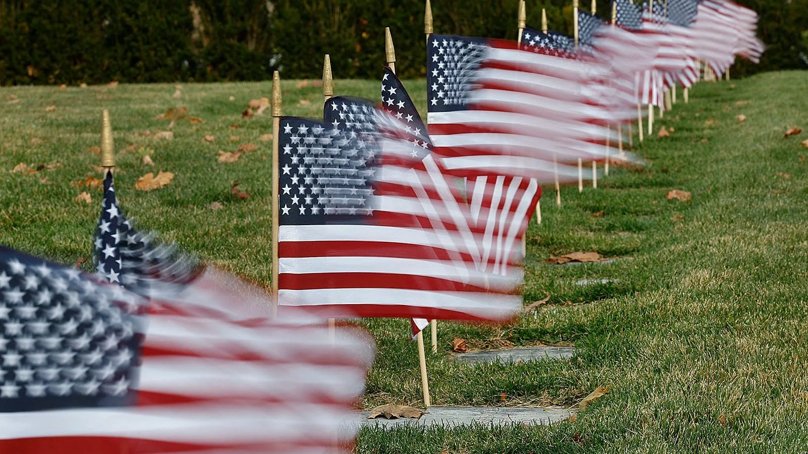 Veterans Day Deals 2025 Include Free Meals Discoun 20251111 172356