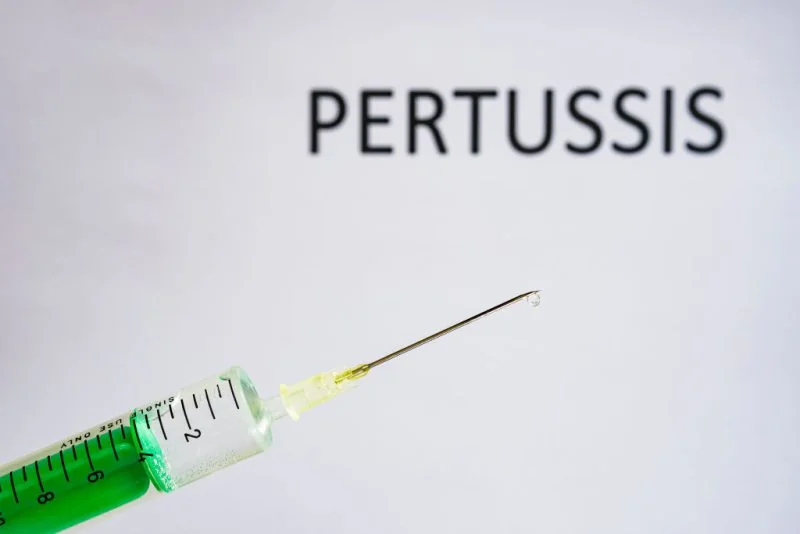 Whooping cough cases skyrocket to record high in T 20251115 125729