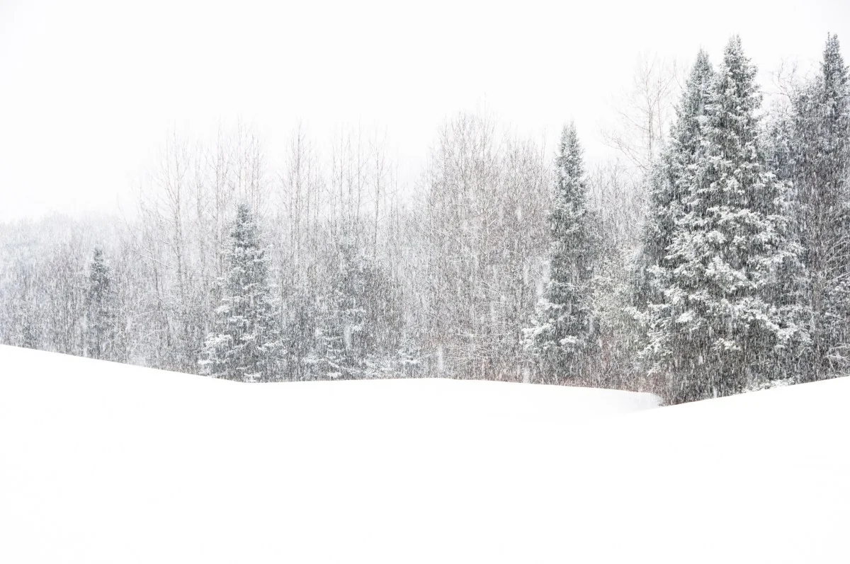 Winter Storm Warning As 16 Inches Of Snow To Strik 20251118 022244