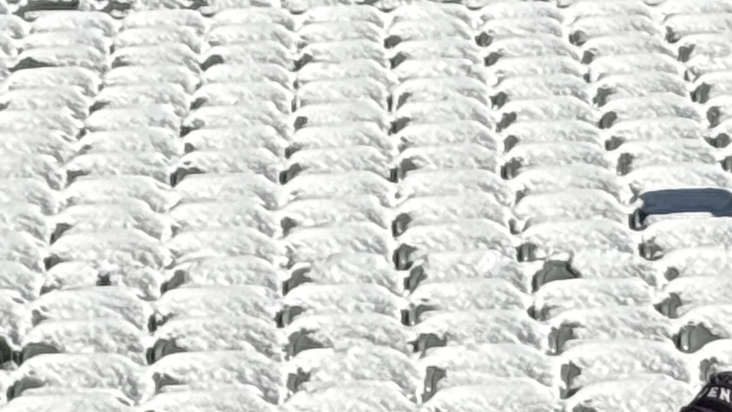 Bengals didnt remove snow from stadium seats in ap 20251215 122449