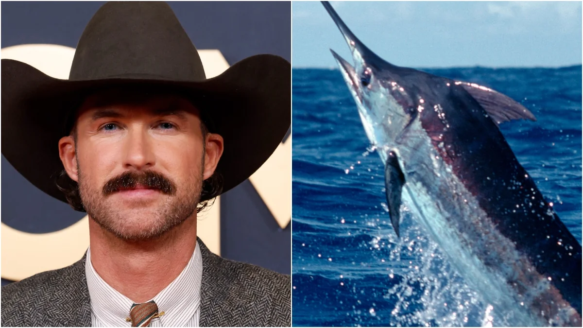 Country Music Star Battles Big Marlin In Epic Fish 20251210 052706