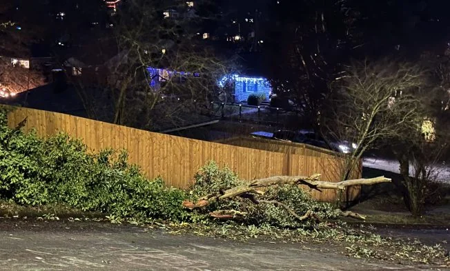WEST SEATTLE WEATHER Wind Advisory alert for Monda 20251208 140431