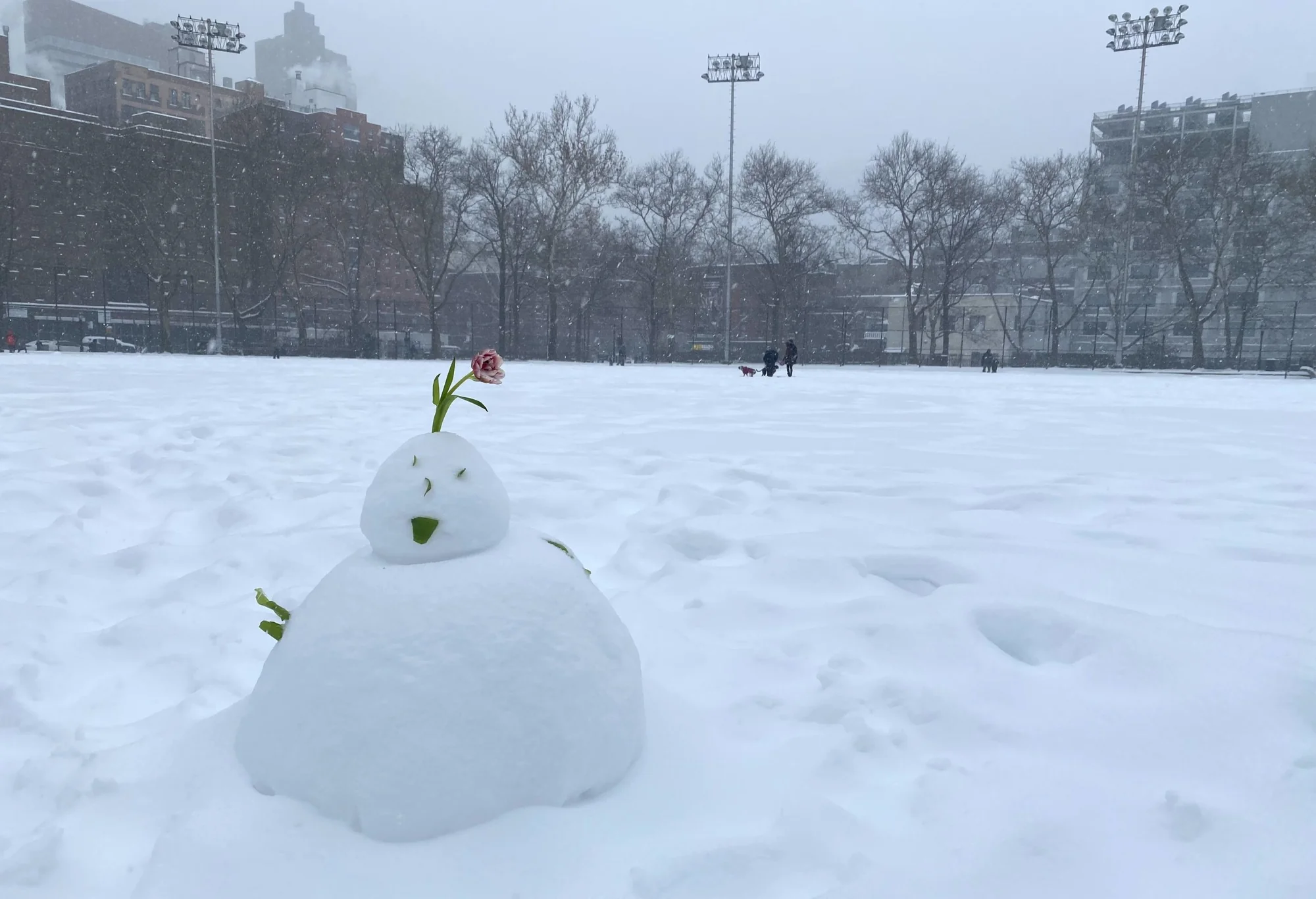 From Shovels to Sleds Snow Day in Hells Kitchen 20260126 155100