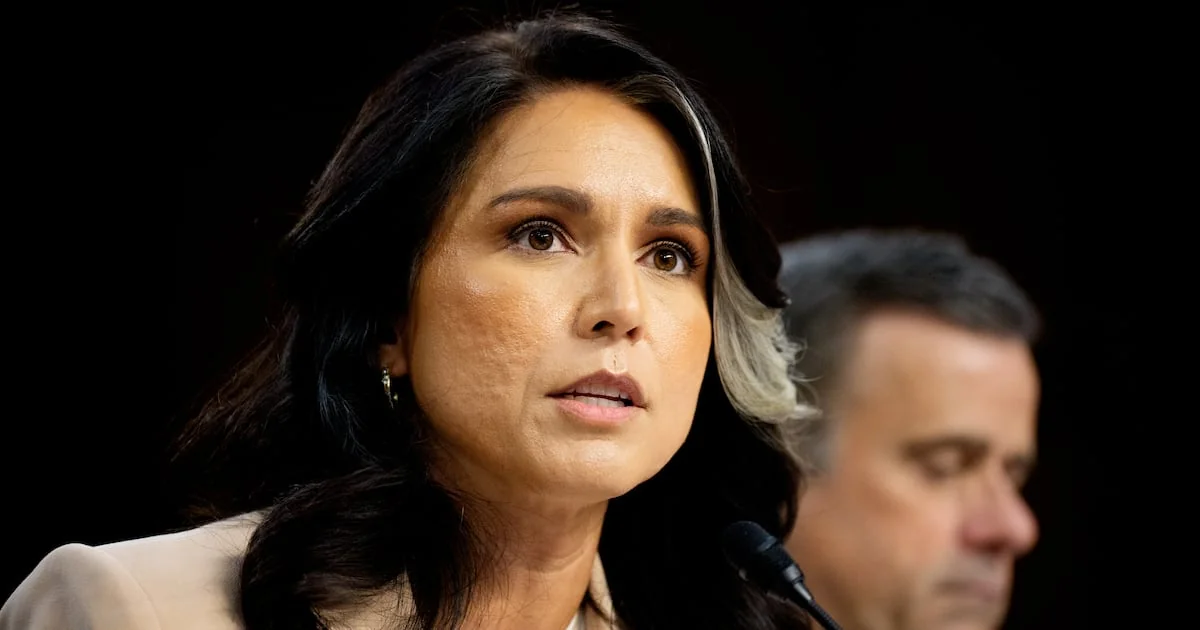 Director Of National Intelligence Tulsi Gabbard Ac 20260202 185621