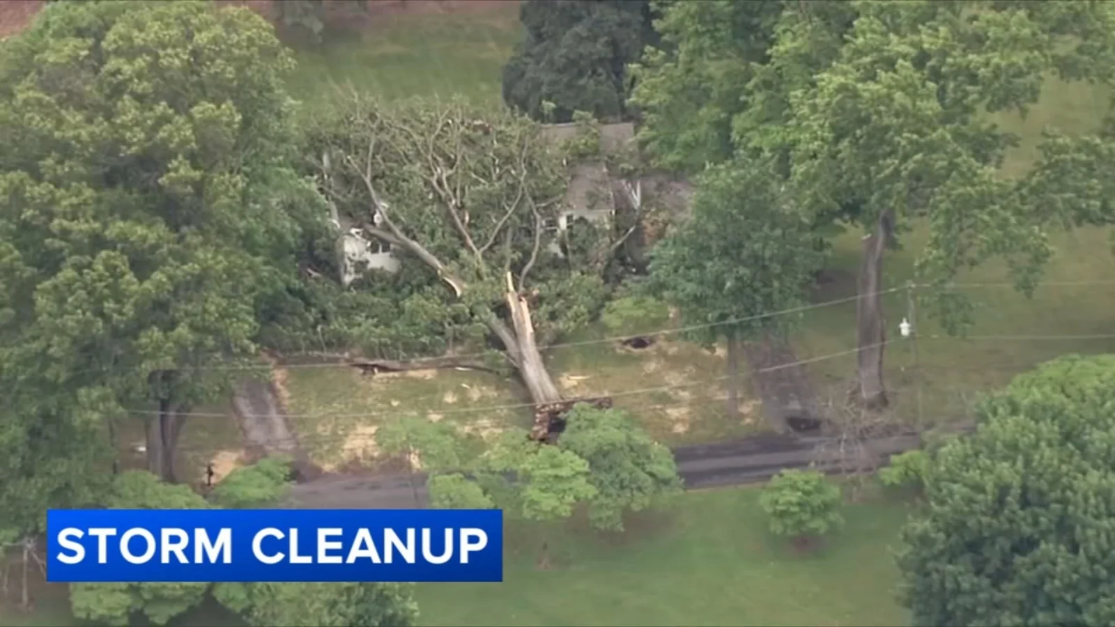 Severe Storm Downs Trees And Power Lines In Montgo 20260524 132113